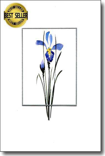irisbscard.jpg