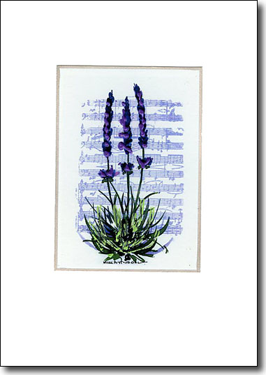 Lavender Music image