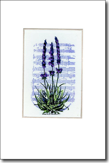 lavendermusiccard.jpg