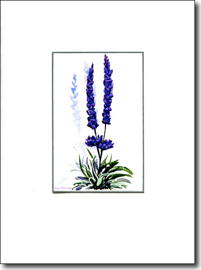 Lavender Shadows image