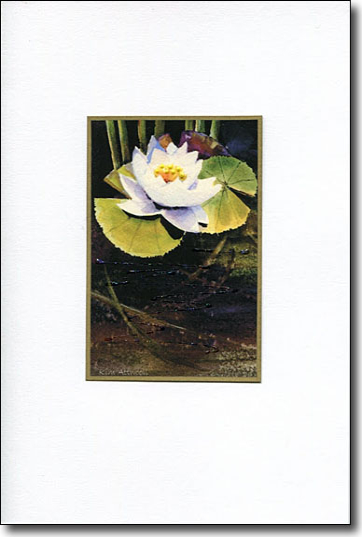 lilyandreedscard.jpg