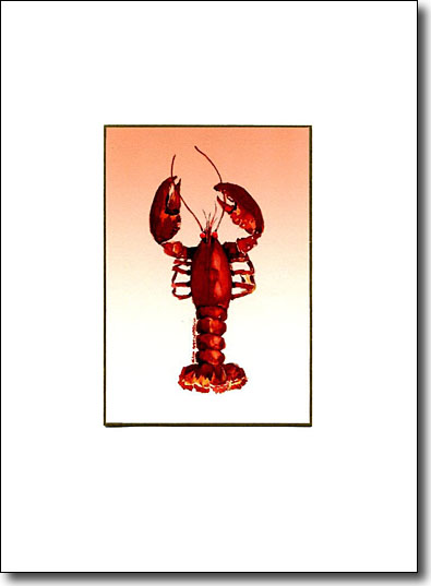 Lobster image