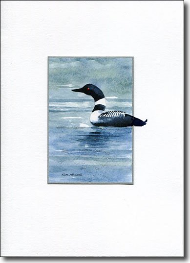 Loon image