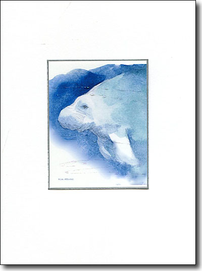 Manatee image