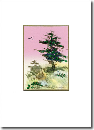 Monterey Pine image