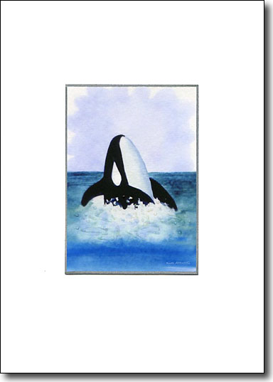 Orca image