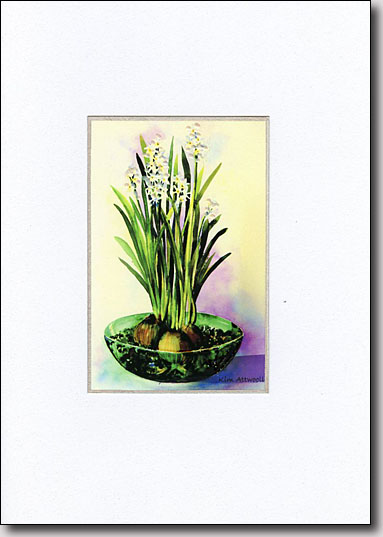 Paper Whites image