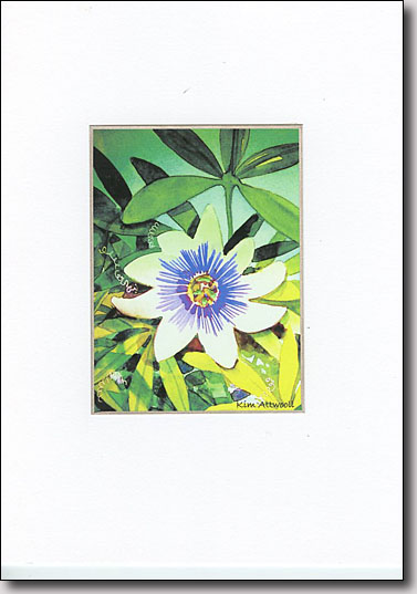 Passion Flower image