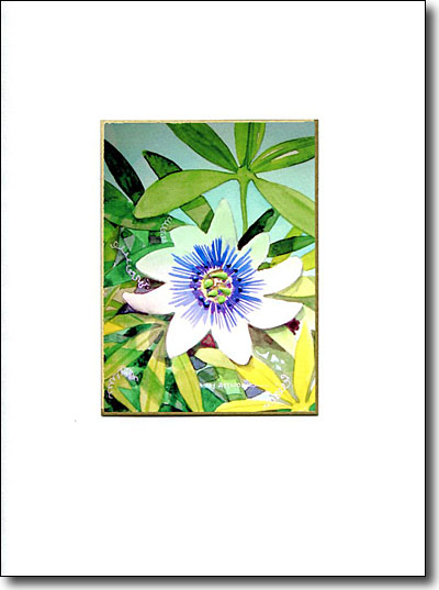 Passion Flower image