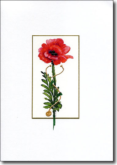 Poppy and Stethoscope image