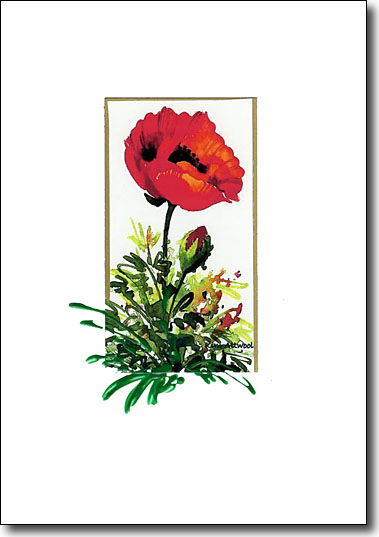 Poppy image