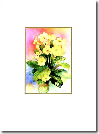 Primroses image