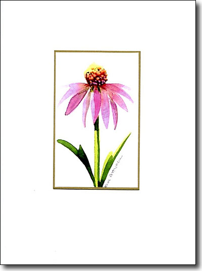 Purple Coneflower 2 image