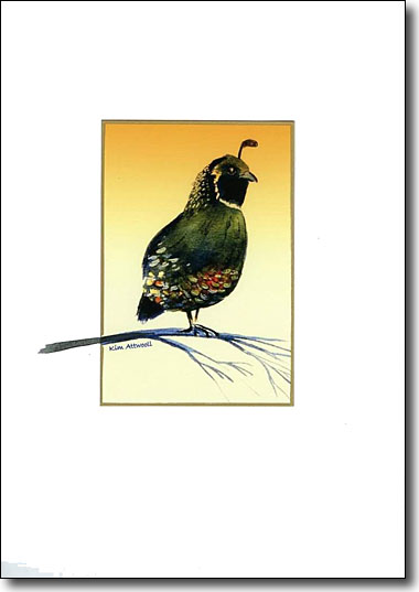 Quail image