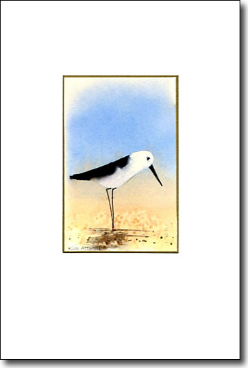 sandpipercard.jpg