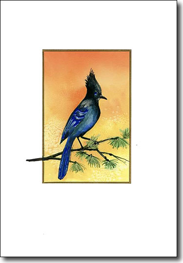 Steller's Jay image