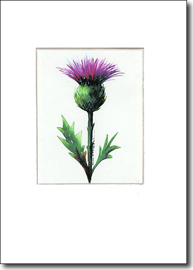 Thistle image