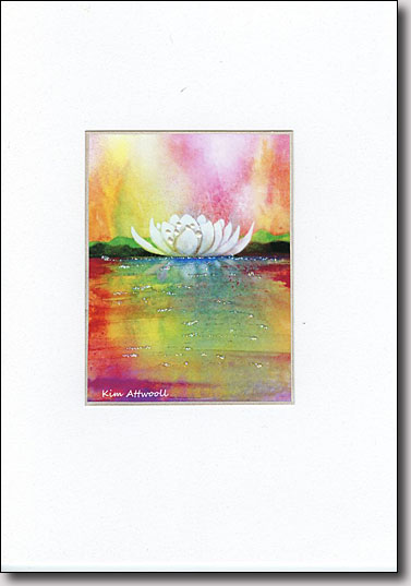 Waterlily on Pink image
