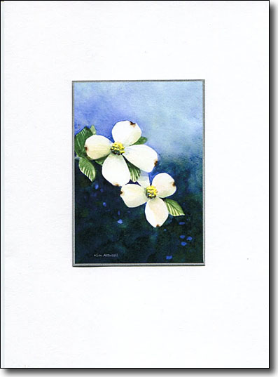 White Dogwood image