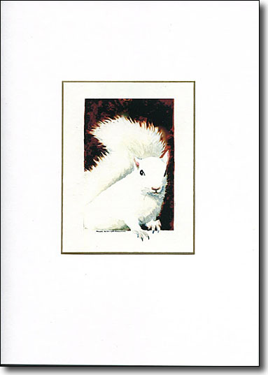 White Squirrel image