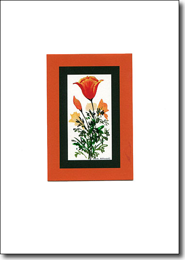 Wildflower California Poppy image