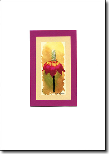 Wildflower Mexican Hat image