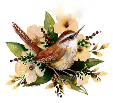 wren image