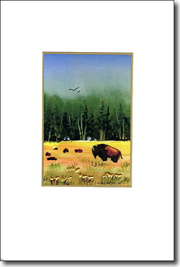 yellowstonebisoncard.jpg